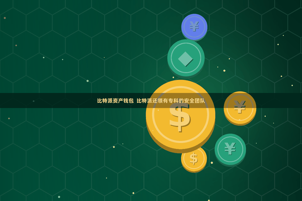 比特派资产钱包  比特派还领有专科的安全团队